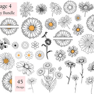 May include: A collection of 45 black and white line drawings of daisies in various styles and sizes. The daisies are arranged in a grid pattern on a white background. The text "Page 4 Daisy Bundle" is at the top of the image.