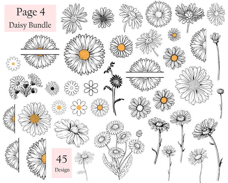 May include: A collection of 45 black and white line drawings of daisies in various styles and sizes. The daisies are arranged in a grid pattern on a white background. The text "Page 4 Daisy Bundle" is at the top of the image.