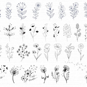 550 Wildblumen SVG Bundle Wildblumen Vektor Wildblumen Silhouette Wildblumen Clipart Wildblumen Schnittdatei Geburtsblumen SVG-Dateien für Cricut Bild 3