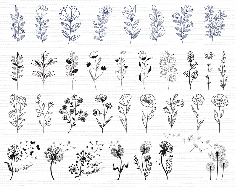 550 Wildblumen SVG Bundle Wildblumen Vektor Wildblumen Silhouette Wildblumen Clipart Wildblumen Schnittdatei Geburtsblumen SVG-Dateien für Cricut Bild 3