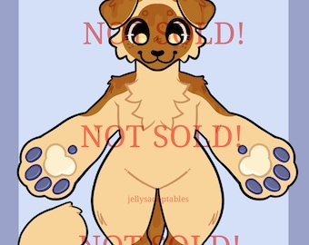 Gato peludo en adopción: "Pancake"