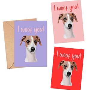 Tarjeta de felicitación de galgo italiano, lebrel, galgo, whippet, divertido, te quiero, aniversario, cumpleaños, boda, él, ella, del perro, incluye sobre