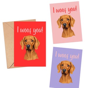 Visla, tarjeta de felicitación de pointer húngaro, divertido aniversario de perro te quiero mucho, lindo cumpleaños, boda, él, ella, del perro Incluye sobre