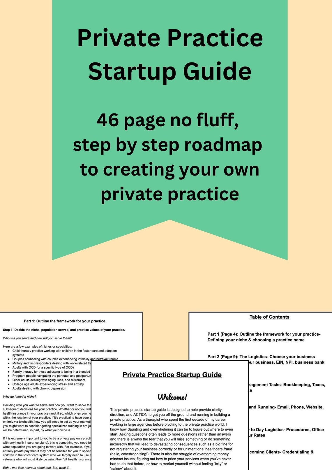 Private Practice Startup Guide for Mental Health Professionals, Therapy ...