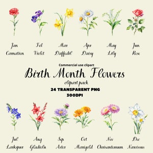 Fleurs du mois de naissance aquarelle, 24 PNG Clipart Pack, Clipart anniversaire, Illustration florale du mois, Journal PNG, Utilisation commerciale