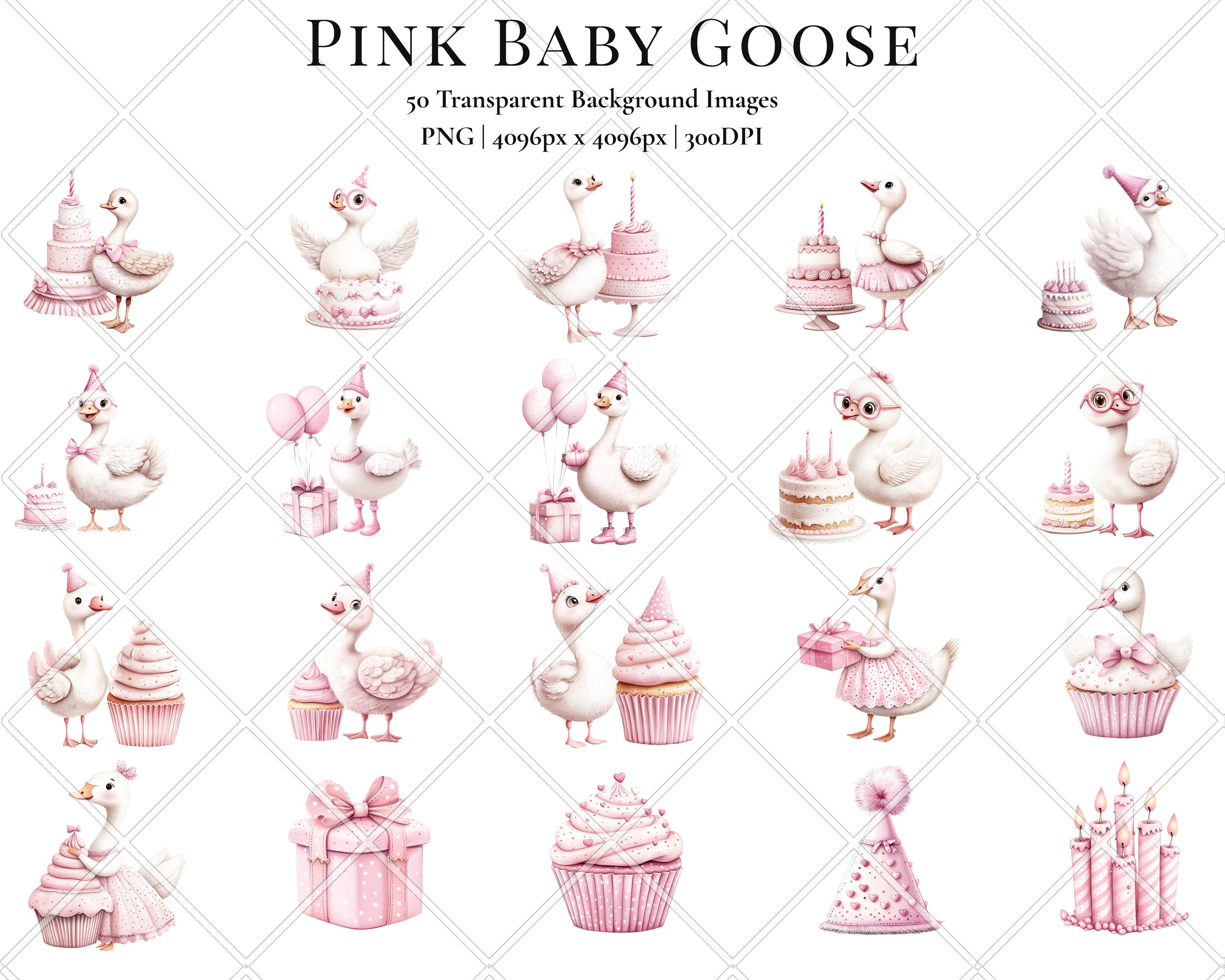 Pink Silly Goose Clipart, Watercolor Birthday Baby Shower PNG Files - Etsy