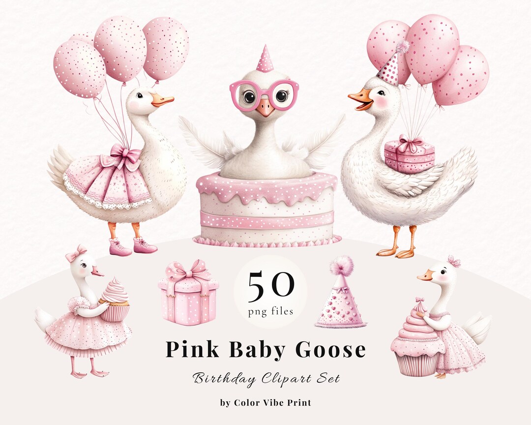 Pink Silly Goose Clipart, Watercolor Birthday Baby Shower PNG Files - Etsy