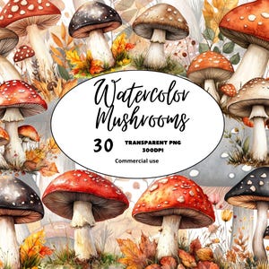 Aquarelle Champignon Clipart Forêt Nature Toadstool Woodland Graphics, Ensemble de 30 PNG format téléchargement instantané pour un usage commercial