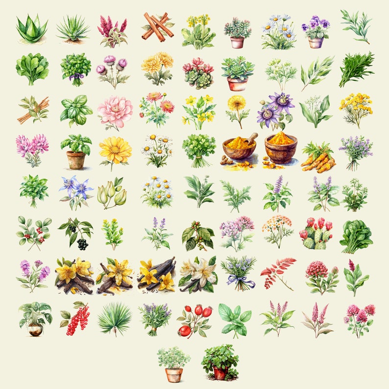 Może przedstawiać: Aquarela przedstawiająca r&oacute;żne zioła i przyprawy, w tym lawendę, rozmaryn, tymianek, bazylię i cynamon. Ilustracja jest umieszczona na jasnobeżowym tle.