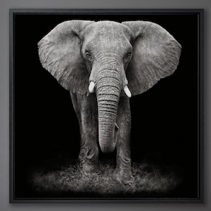 African Elephant Extra Large Canvas Wall Art Elephant print Elephant black and white decor Elephant Painting Big Wild Animals artwork print