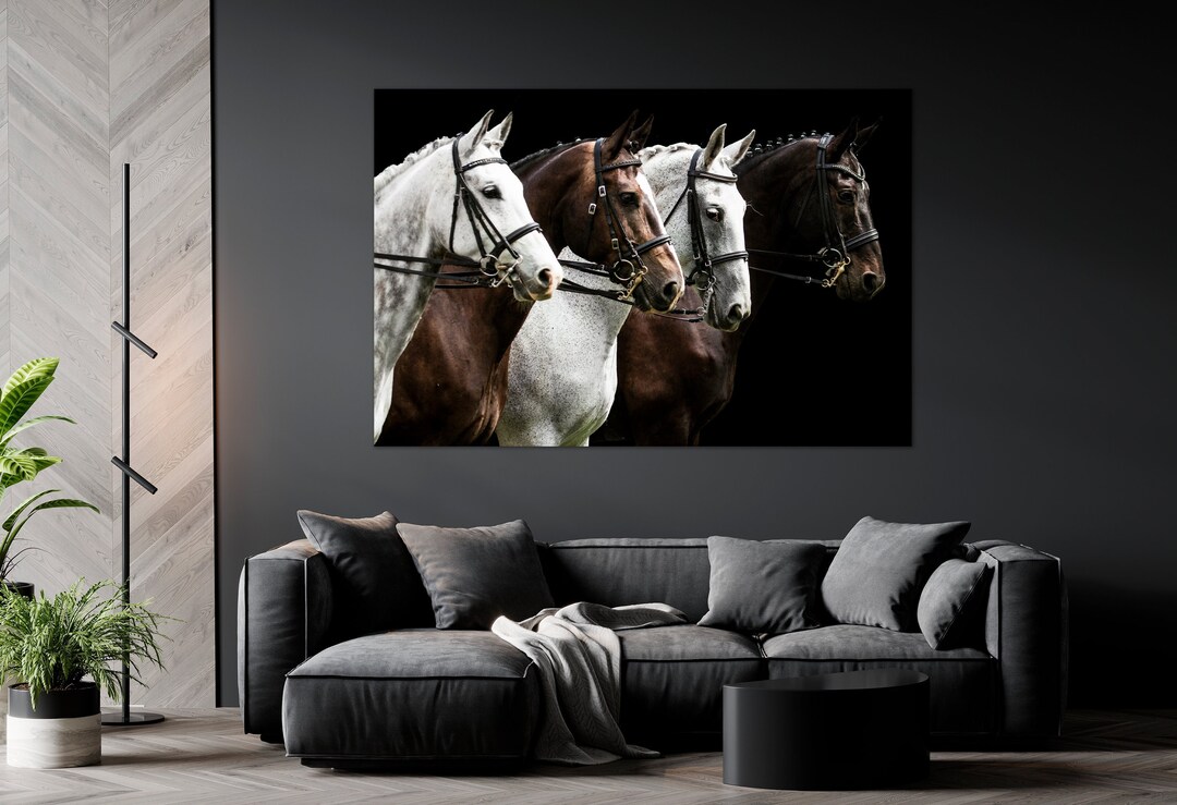 Graceful Horses Canvas Wall Art Equestrian Beauty Print White Black ...