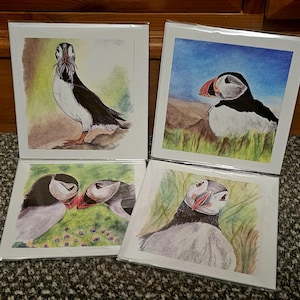 Cartes de voeux d'art originales, macareux, impression d'art originale,