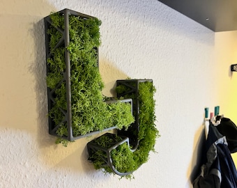 Lettere di muschio, stampate in 3D, piene di muschio, personalizzate, piante, decorazioni murali, ufficio, azienda, casa