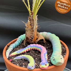 Op de afbeelding: Een terracotta pot met een kleine palmboom en verschillende kleurrijke, gelede slangen. De slangen zijn in tinten groen, blauw, roze en geel. Het speelgoed heeft een segmentontwerp en cartoonachtige gezichten.