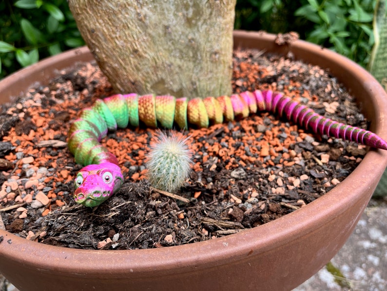 Peut inclure: Un jouet serpent en plastique color&eacute;, segment&eacute;, avec une t&ecirc;te rose et verte et une queue rose. Le serpent est couch&eacute; dans un pot en terre cuite rempli de terre brune et de petites pierres orange. Un petit cactus vert pousse dans le pot.