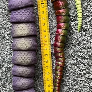 Peut inclure: Trois serpents en plastique articul&eacute;s. Le serpent violet est le plus long, suivi du serpent vert et rouge, puis du serpent jaune et rose. Les serpents mesurent environ 45 cm de long. Une r&egrave;gle jaune est &agrave; c&ocirc;t&eacute; des serpents.