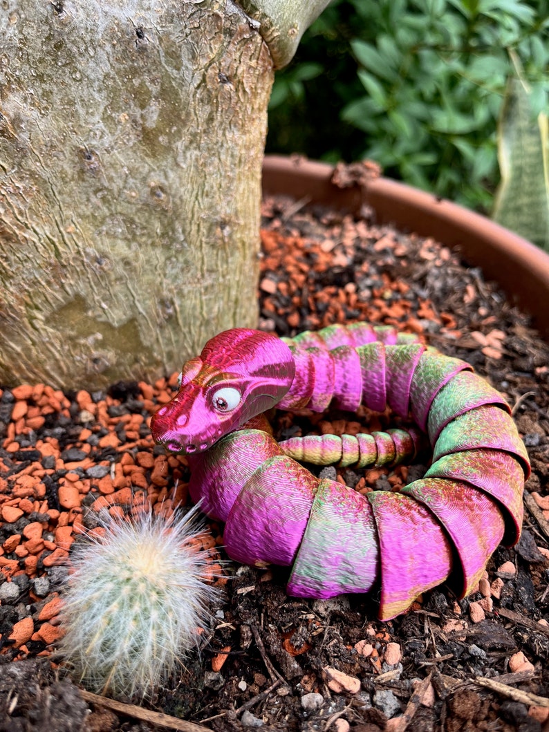 Peut inclure: Un jouet serpent segment&eacute; rose et vert avec un gros &oelig;il, enroul&eacute; en cercle sur un lit de gravier brun et rouge. Une petite plante de cactus se trouve au premier plan.