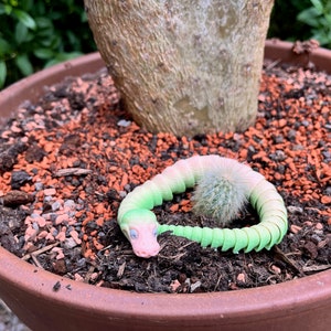 Peut inclure: Un serpent de jouet segment&eacute; vert et rose enroul&eacute; autour d'un petit cactus dans un pot en terre cuite avec de la terre brune et du gravier rouge.