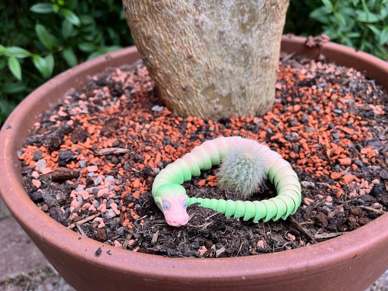 Peut inclure: Un serpent de jouet segment&eacute; vert et rose enroul&eacute; autour d'un petit cactus dans un pot en terre cuite avec de la terre brune et du gravier rouge.