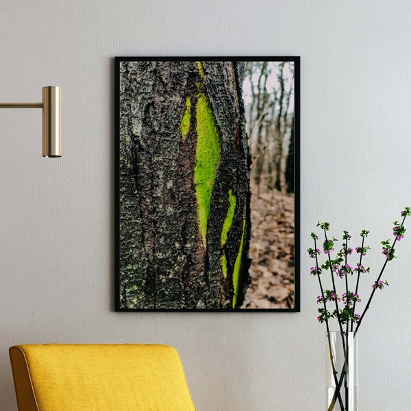 Forest decor wall art Digital print photography Instant download Tree bark wooden texture | Green lichen printable wall art Natural decor