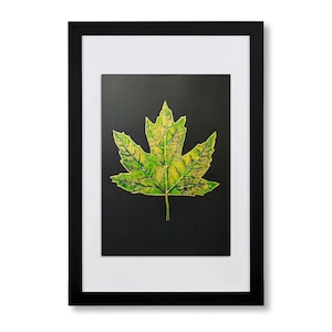 Hand Painted Acrylic Green Maple Leaf in Frame: Dark Botanical Autumn Wall Art