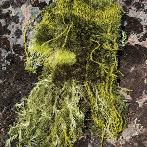 Sciarpa unica in muschio: sciarpa lunga verde soffice lavorata a mano con frange, in filato d'erba, 79"
