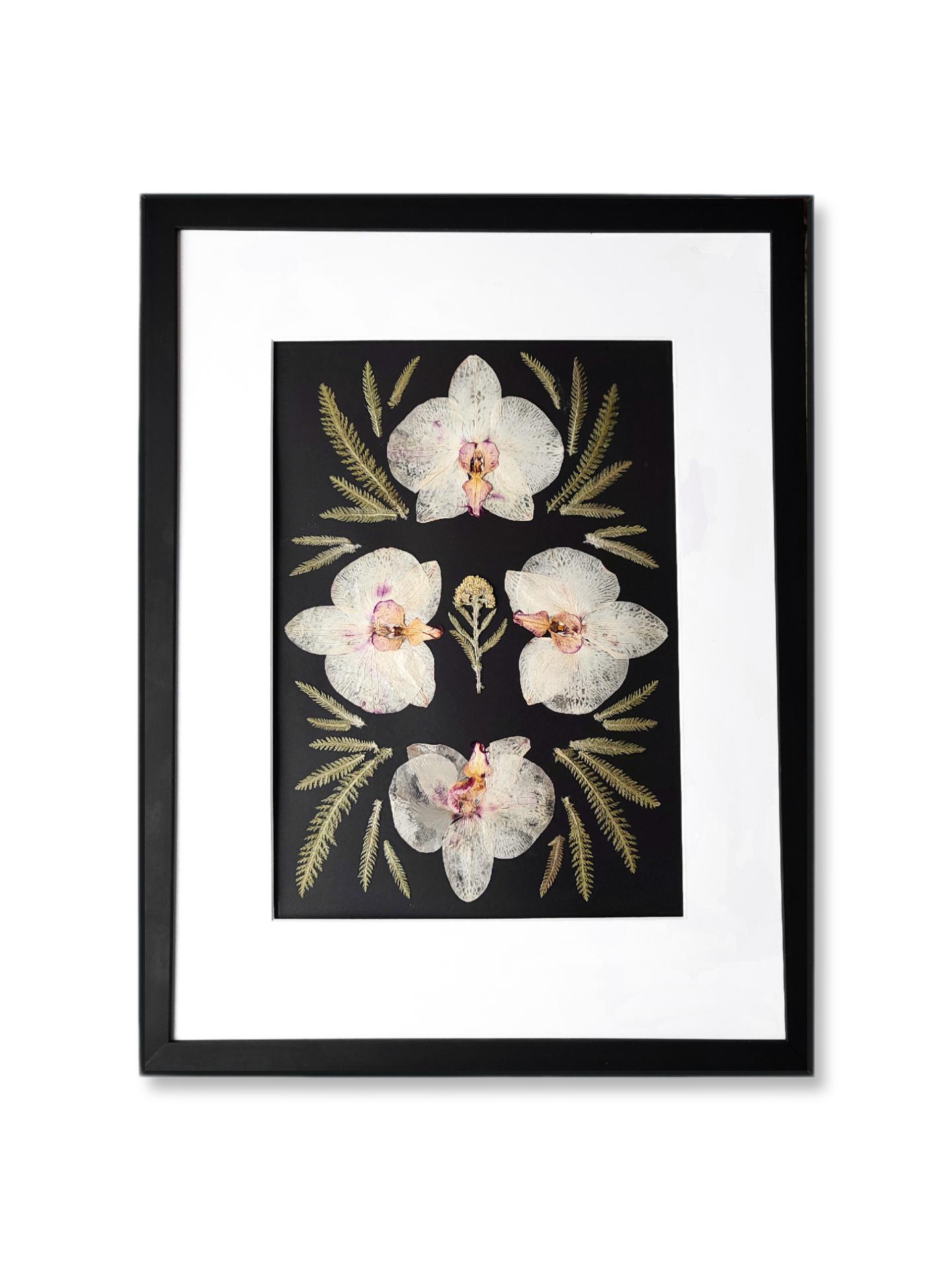 where light begins, image size:1440x1920