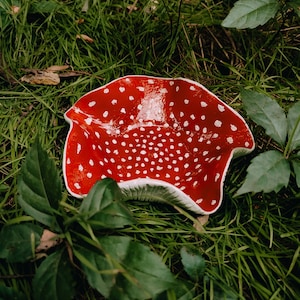 May include: A red ceramic bowl with white polka dots, shaped like a mushroom, sitting on a bed of green grass.