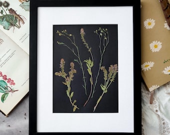 Pressed Wildflower Art: Vintage Herbarium, Dark Botanical Wall Decor