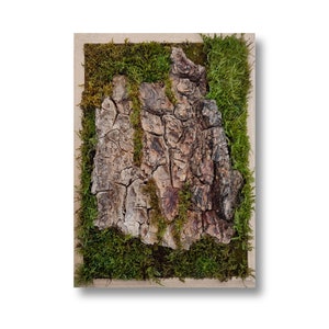 Framed Moss and Tree Bark Wall Art: Natural Forest Texture