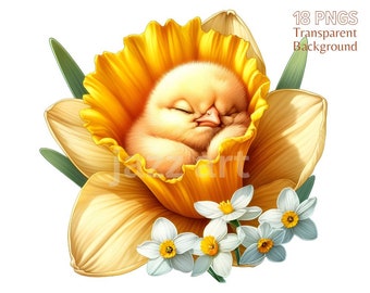 Chick and Flowers Clipart Bundle: Spring Watercolor PNG Graphics (Digital Download)