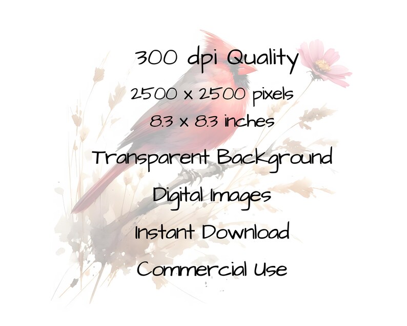 Abstract Red Cardinal Clipart Bundle: Watercolor Bird PNG (digital ...