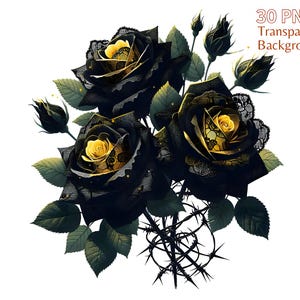 Spitze dunkle Rosen Clipart-Bundle, Aquarell Rosen Grafikdesign, Gothic Valentinstag Clipart, schwarze Rose Png, gotische Blume Png, kommerzielle Nutzung