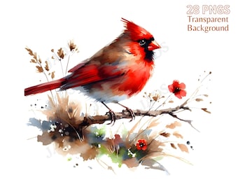Abstract Red Cardinal Clipart Bundle: Watercolor Bird PNG (Digital Download)