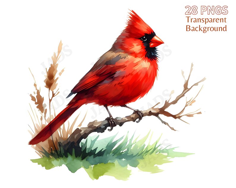 Abstract Red Cardinal Clipart Bundle: Watercolor Bird PNG (digital ...