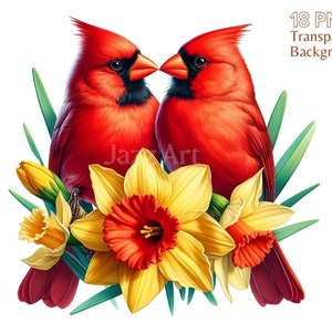 Bundle de clipart compagnon du cardinal rouge, illustration d'oiseau, oiseau coloré, clipart cardinal, aquarelle de paire cardinale, png oiseau, usage commercial