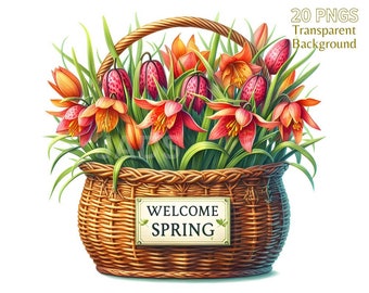 Watercolor Spring Flower Basket Clipart Bundle (PNG, Commercial Use)