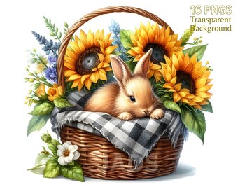 Hase & Frühlingsblumen Clipart: Aquarell Hase Grafik (PNG, Kommerzielle Nutzung)