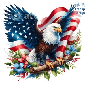 Patriotic bald eagle USA clipart bundle, watercolor eagle sublimation, independence day, 4th of July graphic, eagle png, commercial download