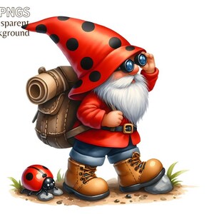 14 Ladybug Gnome Clipart Bundle, grafica dello gnomo da giardino, clipart png primaverile, sublimazione dello gnomo primaverile, sfondo trasparente, uso commerciale