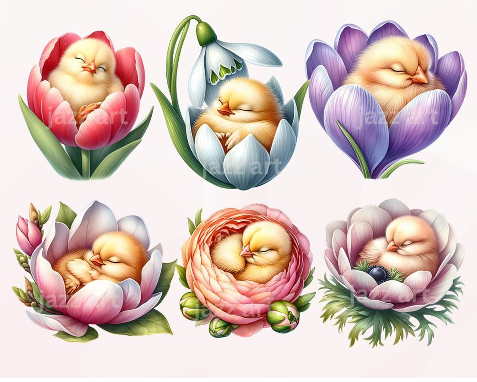 Chick and Flowers Clipart Bundle: Spring Watercolor PNG Graphics ...
