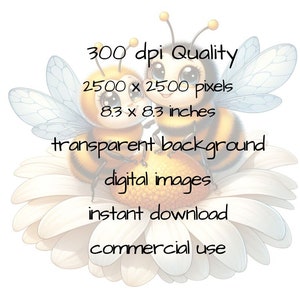 Cute bees and daisy clipart bundle, cute bee clipart, honeybee clipart, daisy flower png, bumble bee clipart, bee png, commercial download image 10