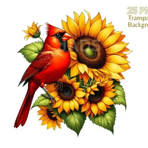 Ensemble de 25 cliparts cardinal rouge et fleurs, clipart papier numérique, clipart floral aquarelle, png de fleur, illustration d'oiseau, usage commercial