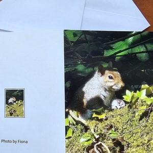 de voeux d'écureuil enchanteur | Cartes vierges écologiques pour toutes les occasions | Art de la photographie animalière | Cadeau pour amoureux de la nature