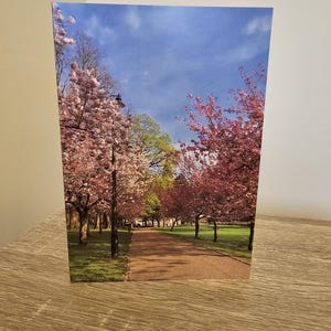 Cherry Blossom Walk in South Wales - Eco-Friendly Greeting Card with envelope blank for personal messages