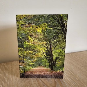 Cartão de felicitações para caminhada na floresta com envelope, em branco para mensagens pessoais, biodegradável e ecológico, perfeito para todas as ocasiões