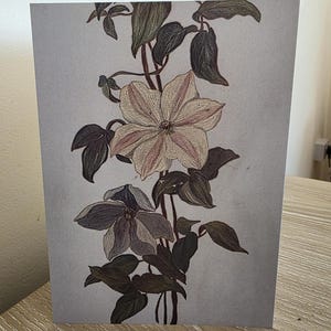 Handgemaakte vintage clematiswenskaart - 5 x 7 milieuvriendelijke botanische kunstkaart met envelop
