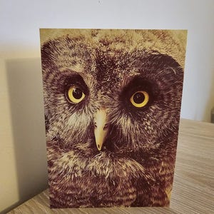 de voeux de hibou mystique | Papeterie biodégradable respectueuse de l'environnement | Carte d'art animalier inspirée de la nature avec enveloppe