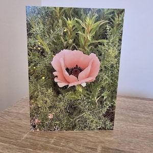 Vibrant Pink Wild Poppy Handmade Greeting Card | Eco-Friendly & Sustainable