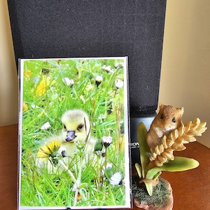 doux bébé oison dans un champ de marguerites - carte de voeux nature vierge | Cadeau printanier parfait avec enveloppe